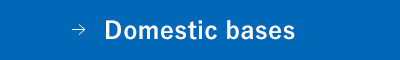 Domestic bases