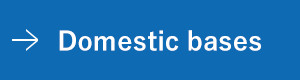 Domestic bases